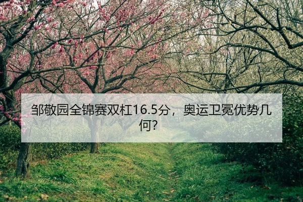 zou-jing-yuan-quan-jin-sai-shuang-gang-fen-ao-yun-wei-mian-you-shi-ji-he-2-357.jpg