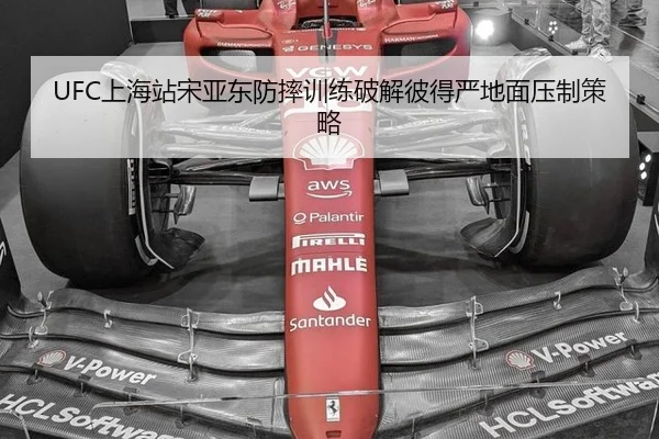 UFC上海站宋亚东防摔训练破解彼得严地面压制策略