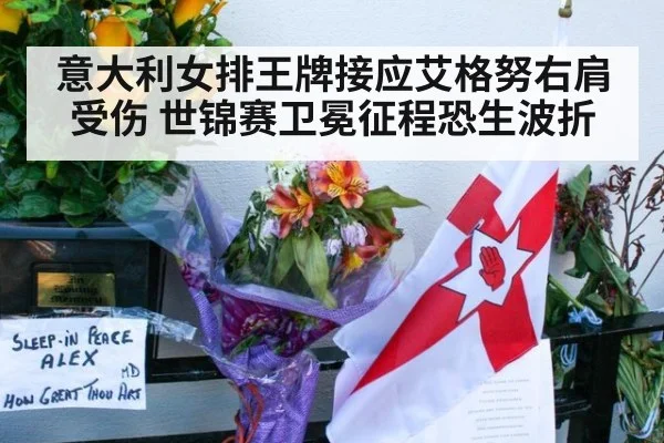 意大利女排王牌接应艾格努右肩受伤 世锦赛卫冕征程恐生波折